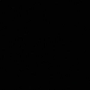 Meet your Posher, Sebastien